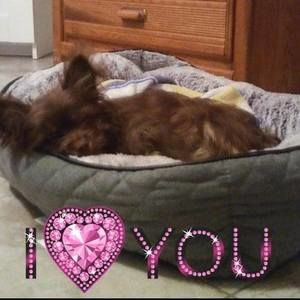 Meet your Posher, Noemi